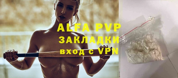 крисы Новозыбков