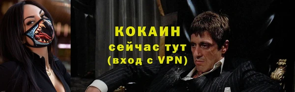 крисы Новозыбков