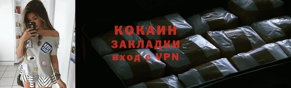крисы Новозыбков