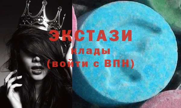 крисы Новозыбков