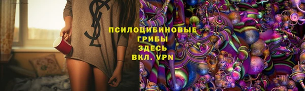 альфа пвп Новокубанск