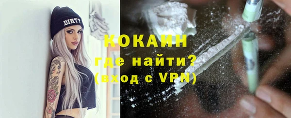 крисы Новозыбков